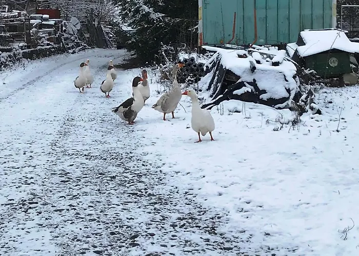 게스트하우스 Mit Herz Und Garten